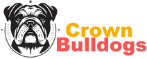 English Bulldog Puppies For Sale – Old English Bulldog Breeders